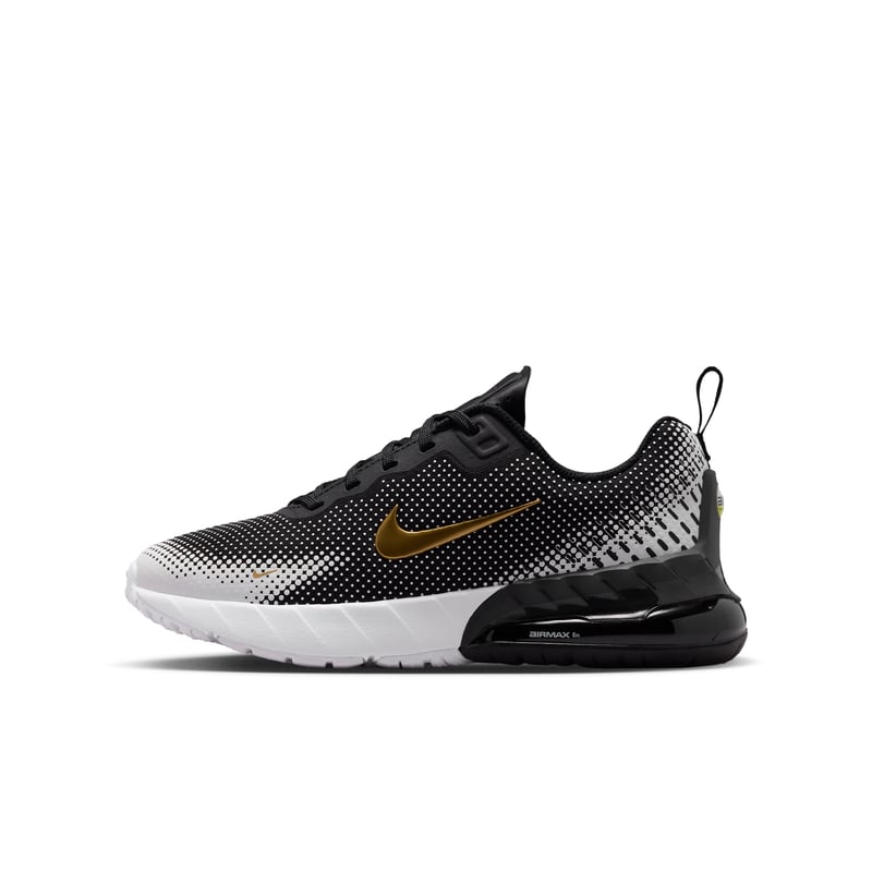Nike Air Max Phoenix HF7052-007 01