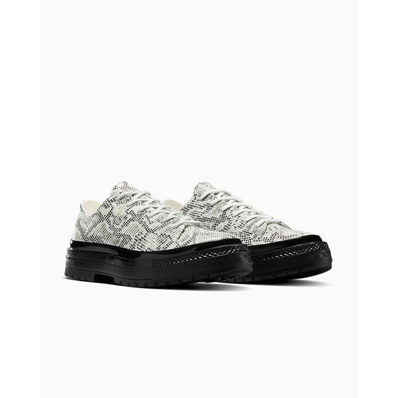 Converse Chuck 70 Low A15045C 05