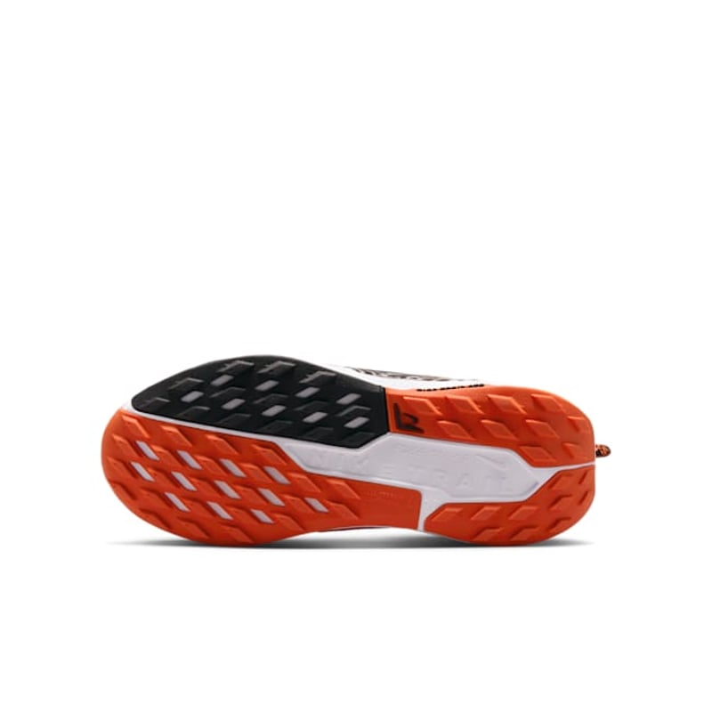 Nike Pegasus Trail 5 FV5638-200 02