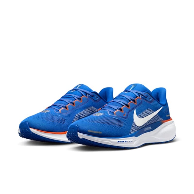 Nike Pegasus 41 FZ5113-400 05