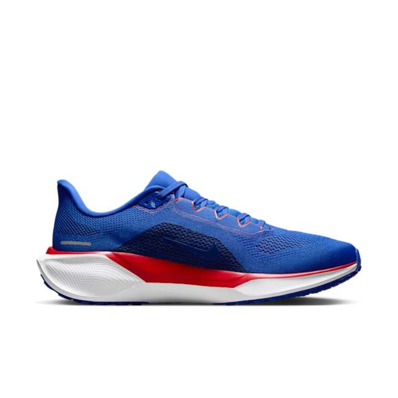 Nike Pegasus 41 FZ5146-400 03