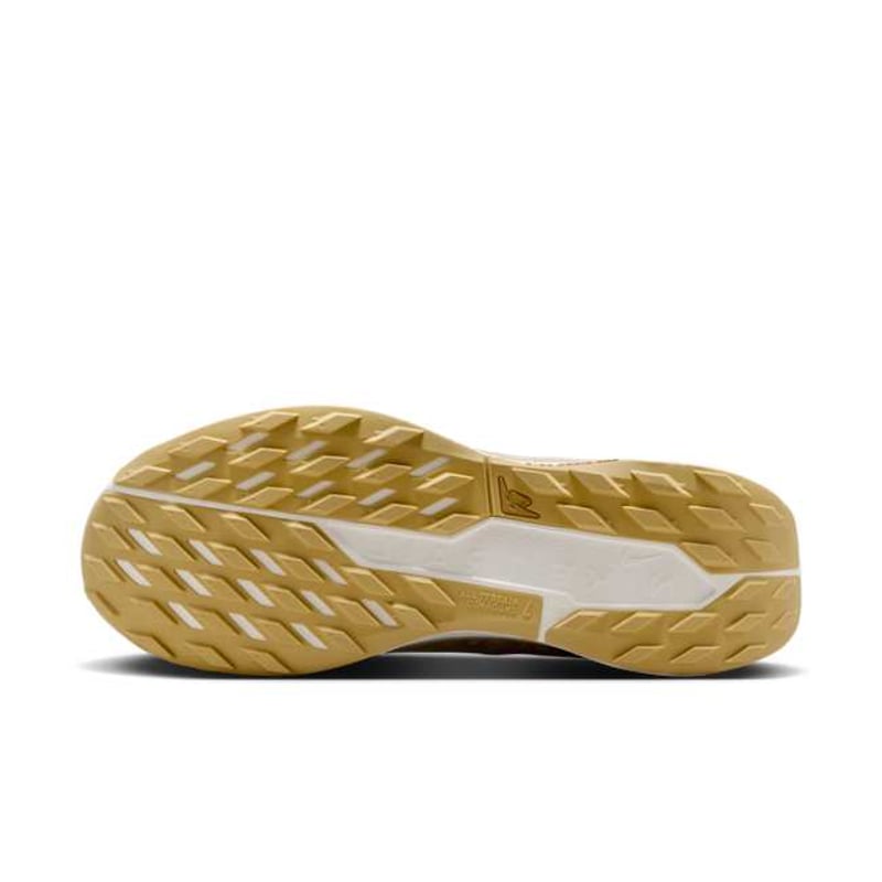 Nike Pegasus Trail 5 GORE-TEX SP HQ7494-700 02