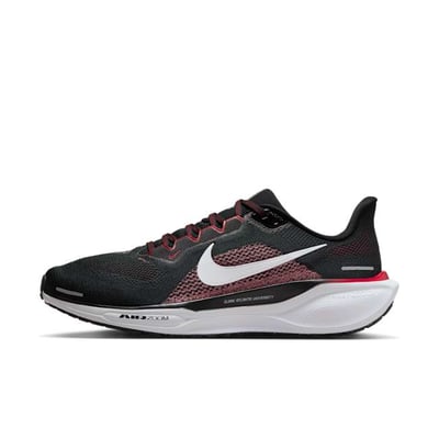 Nike Pegasus 41 FZ5107-001
