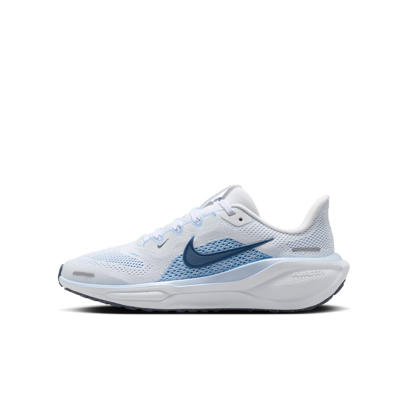 Nike Pegasus 41 FN5041-110 01