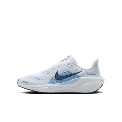 Nike Pegasus 41 FN5041-110