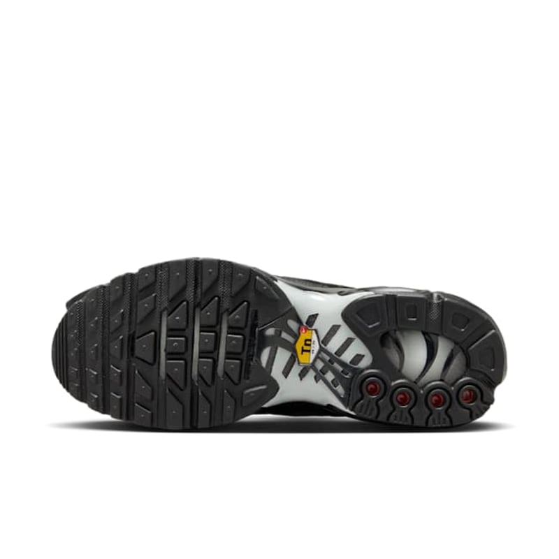 Nike Air Max Plus FV1169-001 02