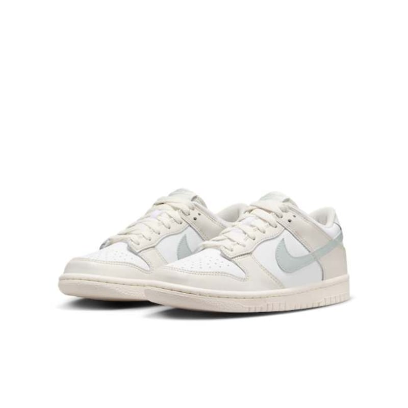 Nike Dunk Low FB9109-109 05