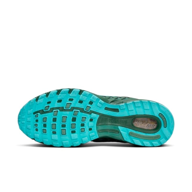 Nike Air Pegasus 2K5 FZ7354-300 02