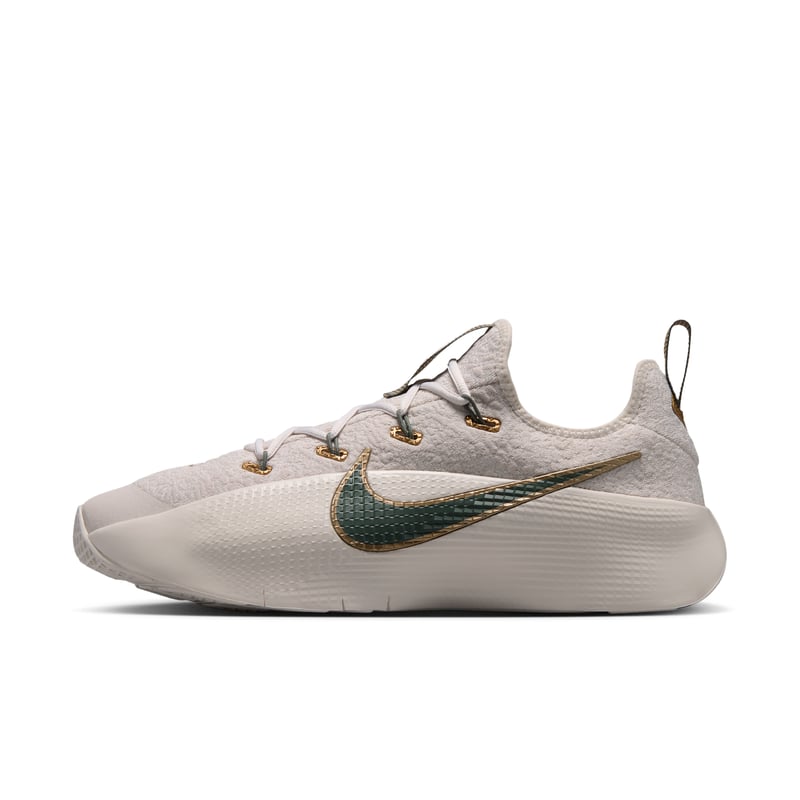 Nike LeBron TR1 FJ6151-009 01