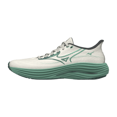 Mizuno Wave Rider 29 J1GC250309