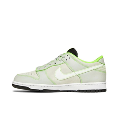 Nike Dunk Low FQ7260-001