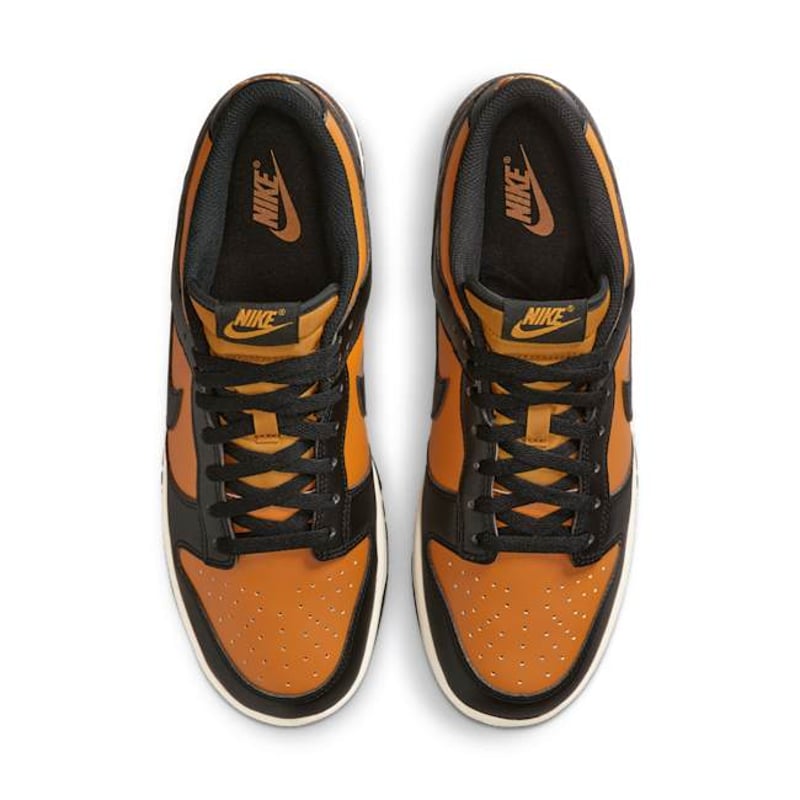 Nike Dunk Low Retro HF5441-701 04