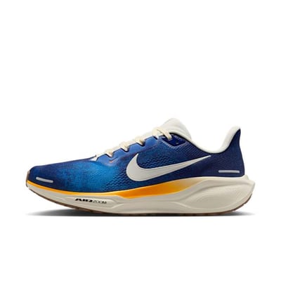 Nike Pegasus 41 IB7723-492
