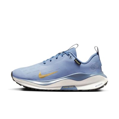 Nike InfinityRN 4 GORE-TEX FB2197-400