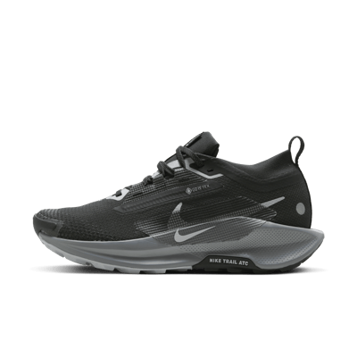 Nike Pegasus Trail 5 GORE-TEX FQ0912-001