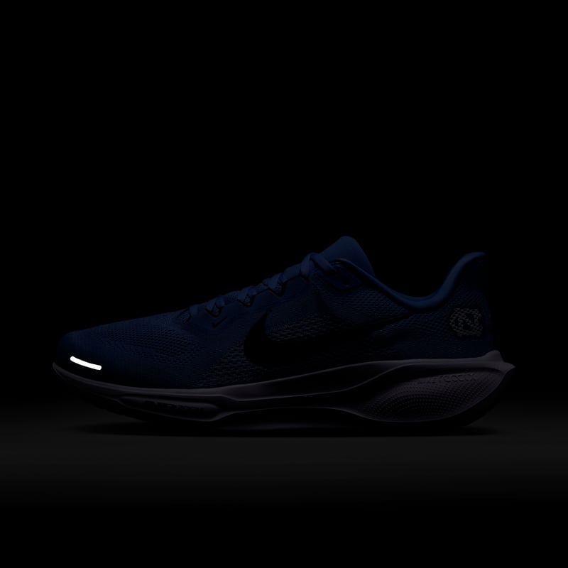Nike Pegasus 41 IB3263-400 09