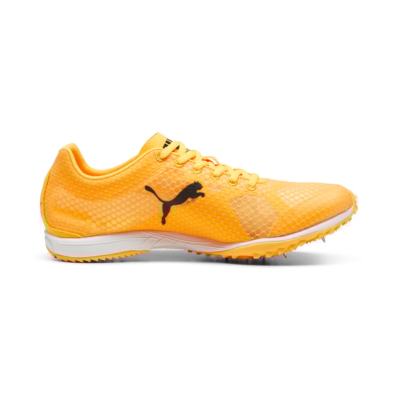 PUMA evoSPEED Haraka 8 310930-01 03