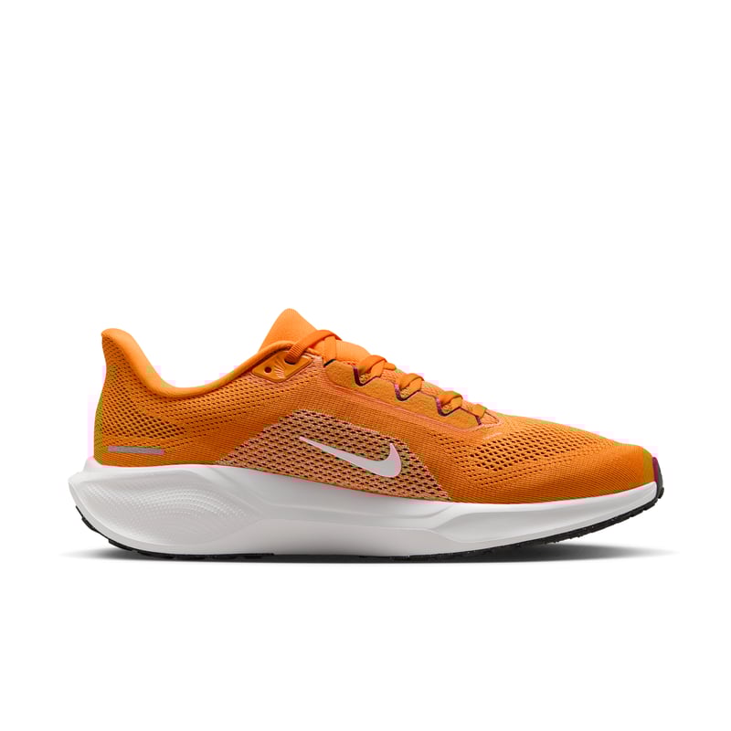 Nike Pegasus 41 IB3253-800 03