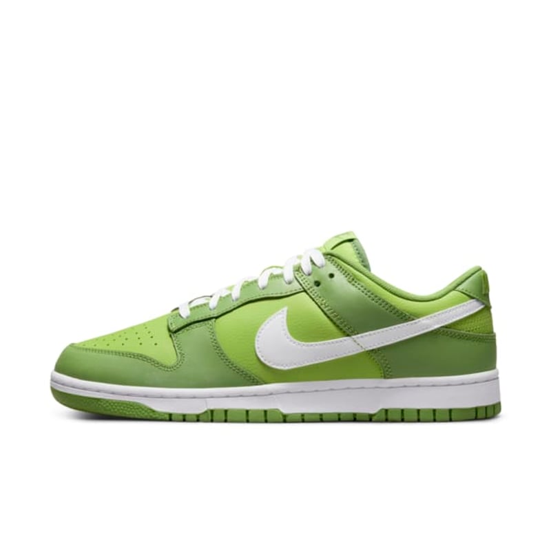 Nike Dunk Low DJ6188-300 01