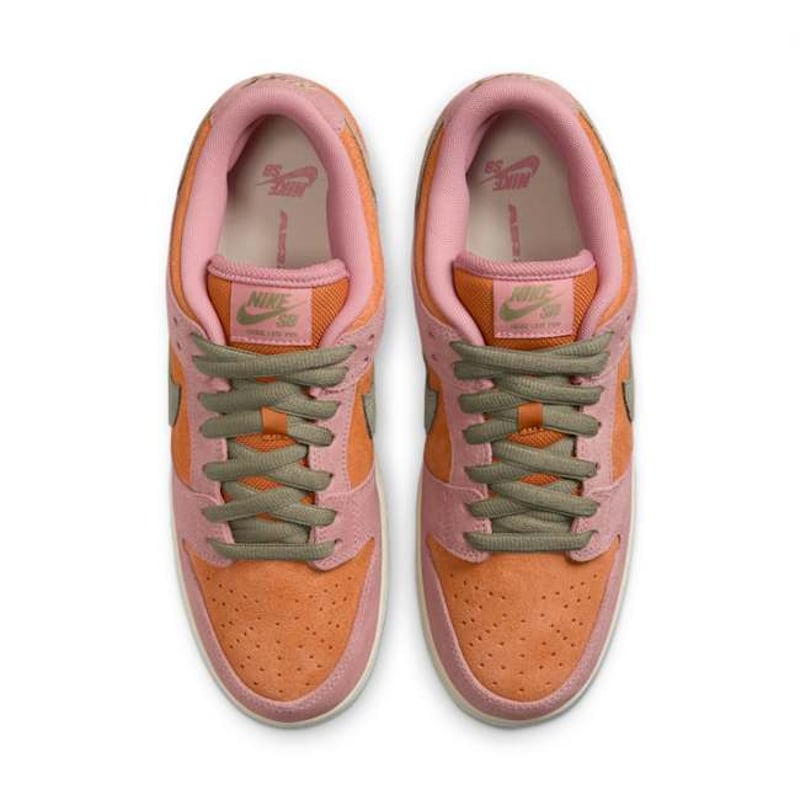 Nike SB Dunk Low HJ4135-600 04