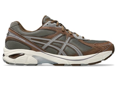 ASICS GT-2160 1203A605-251