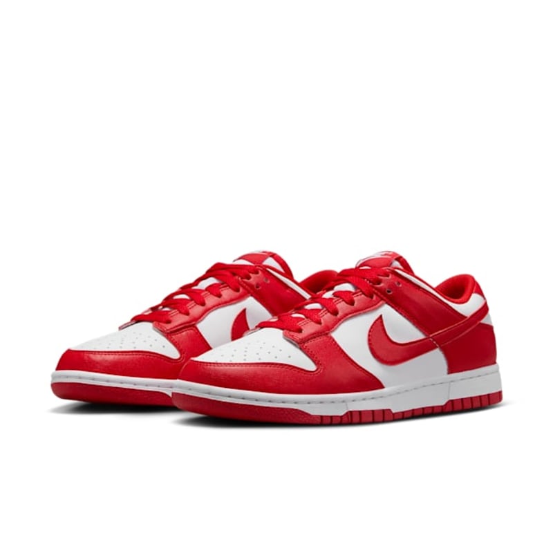Nike Dunk Low Next Nature DD1873-116 05