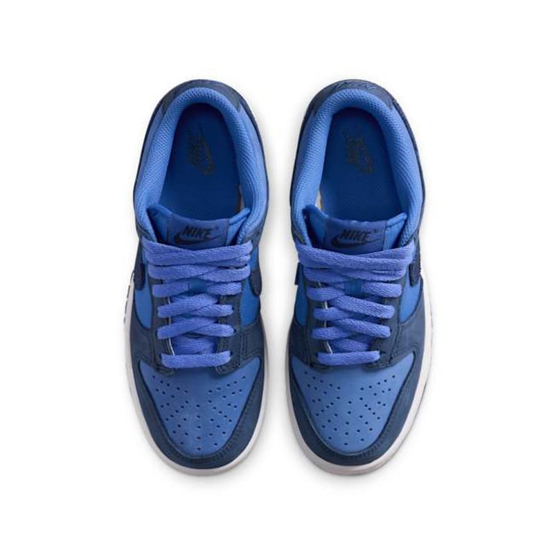 Nike Dunk Low HQ9293-400 04