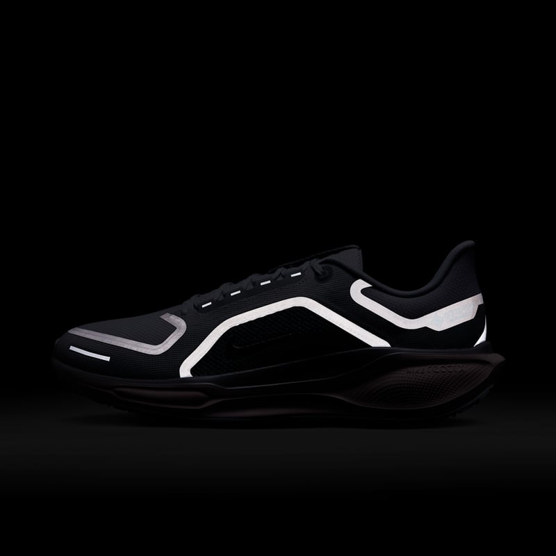 Nike Pegasus 41 GORE-TEX FQ1356-007 09