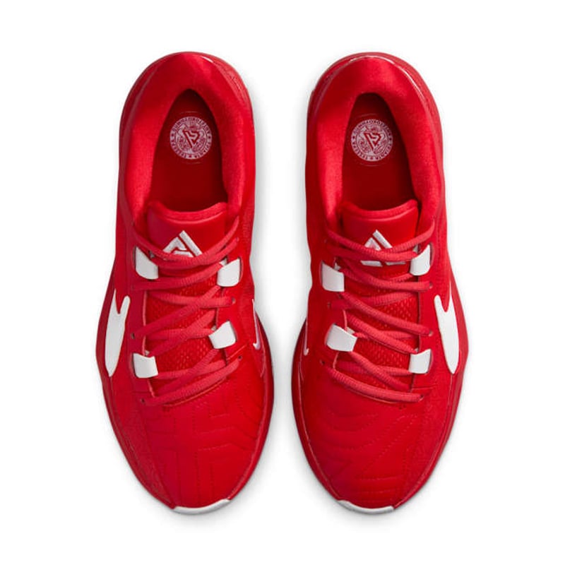 Nike Giannis Freak 5 DZ2946-600 04