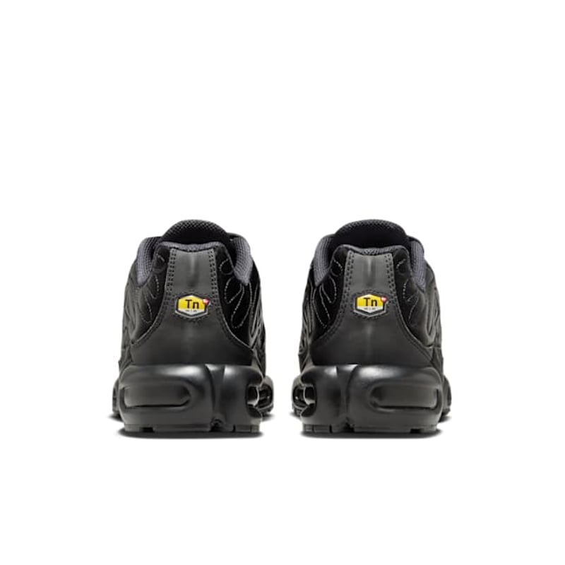 Nike Air Max Plus FV1169-001 06