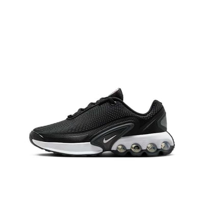 Nike Air Max Dn FB8987-007