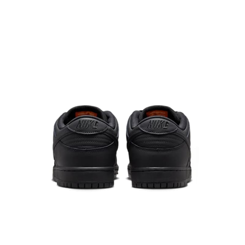 Nike SB Dunk Low Pro FJ1674-001 06