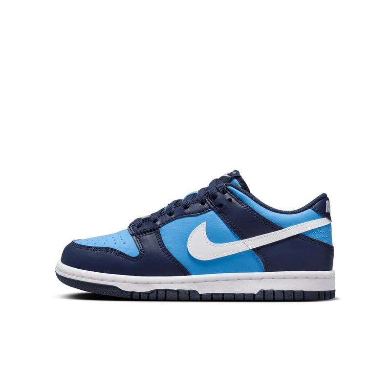 Nike Dunk Low HF0031-400 01