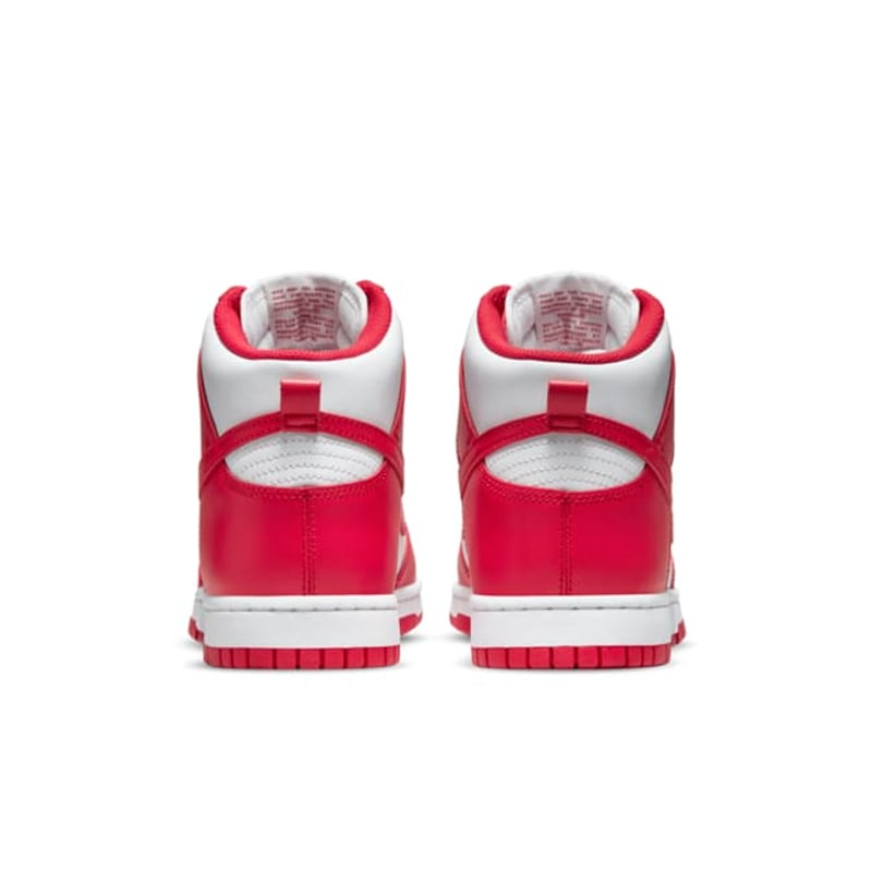 Nike Dunk High DD1399-106 06