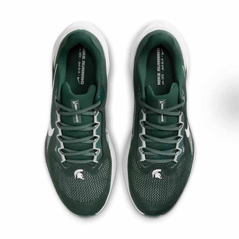Nike Pegasus 41 FZ5127-300 04