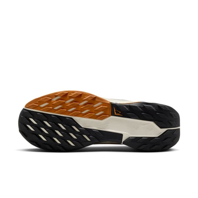 Nike Pegasus Trail 5 GORE-TEX FQ0912-005 02
