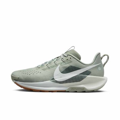 Nike Pegasus Trail 5 DV3864-304