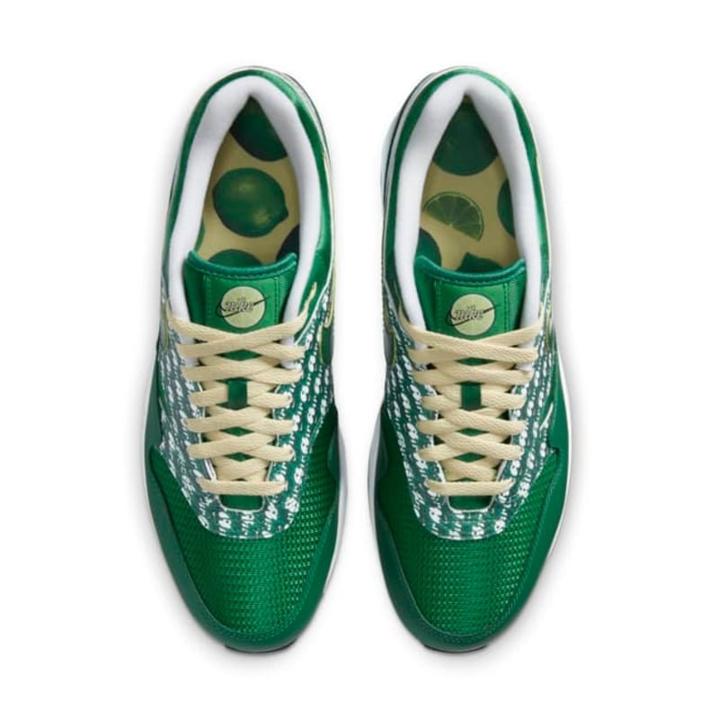 Nike Air Max 1 Premium CJ0609-300 04