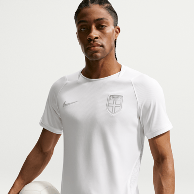 Nike Norway 2026 Stadium Third Dri-FIT Replica IQ7379-100