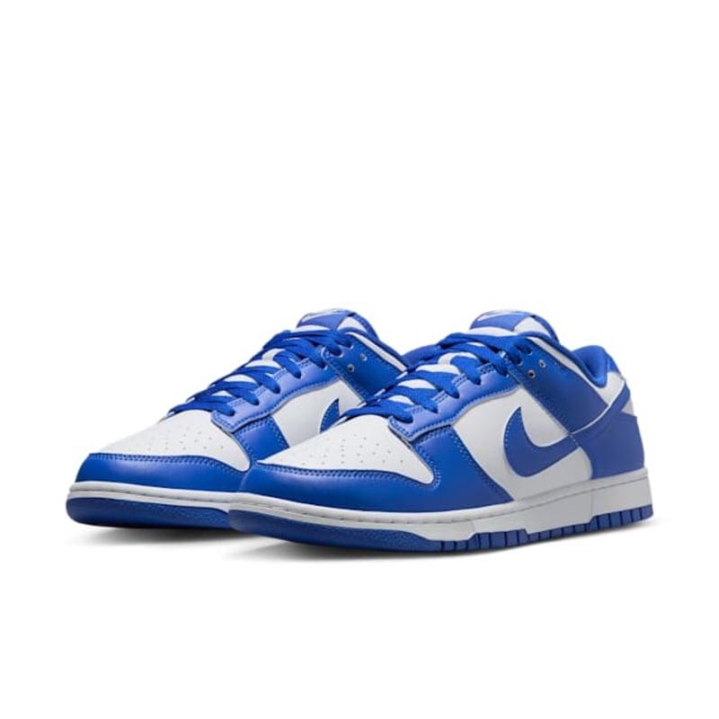 Nike Dunk Low HF5441-112 05