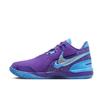 Nike LeBron NXXT Gen AMPD FJ1566-500