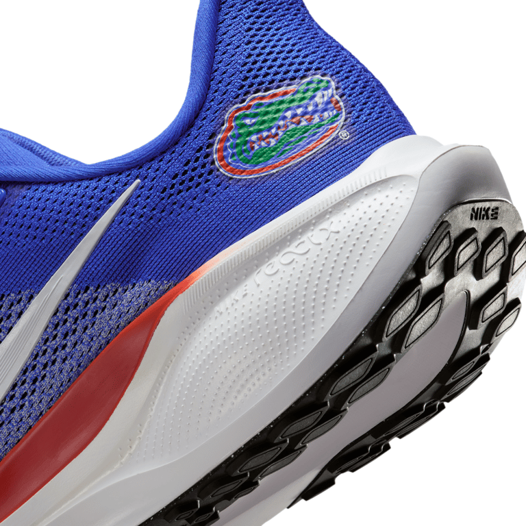 Nike Pegasus 41 IB3251-400 08