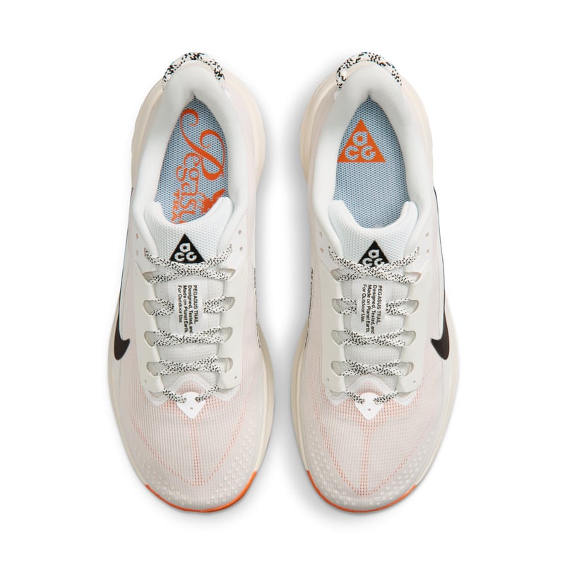Nike ACG Pegasus HV8116-103 04