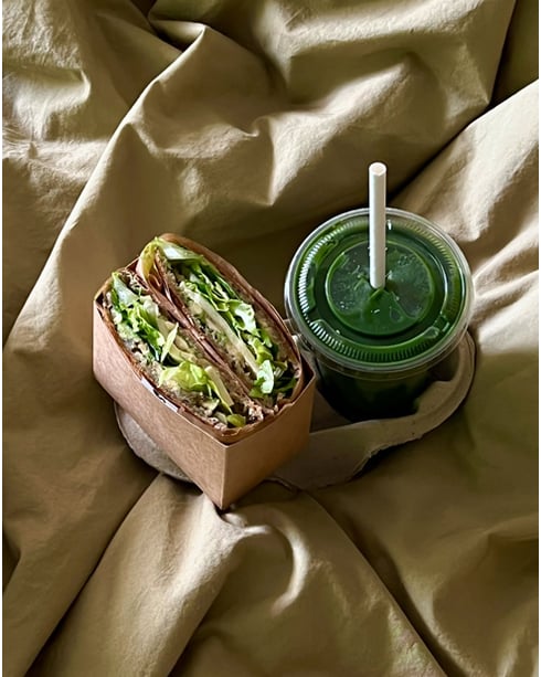 Plants By Us LXAHIBBGTDXXHBH3A