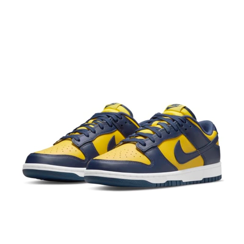 Nike Dunk Low DD1391-700 05