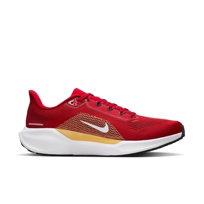Nike Pegasus 41 x NFL IB3186-600 03