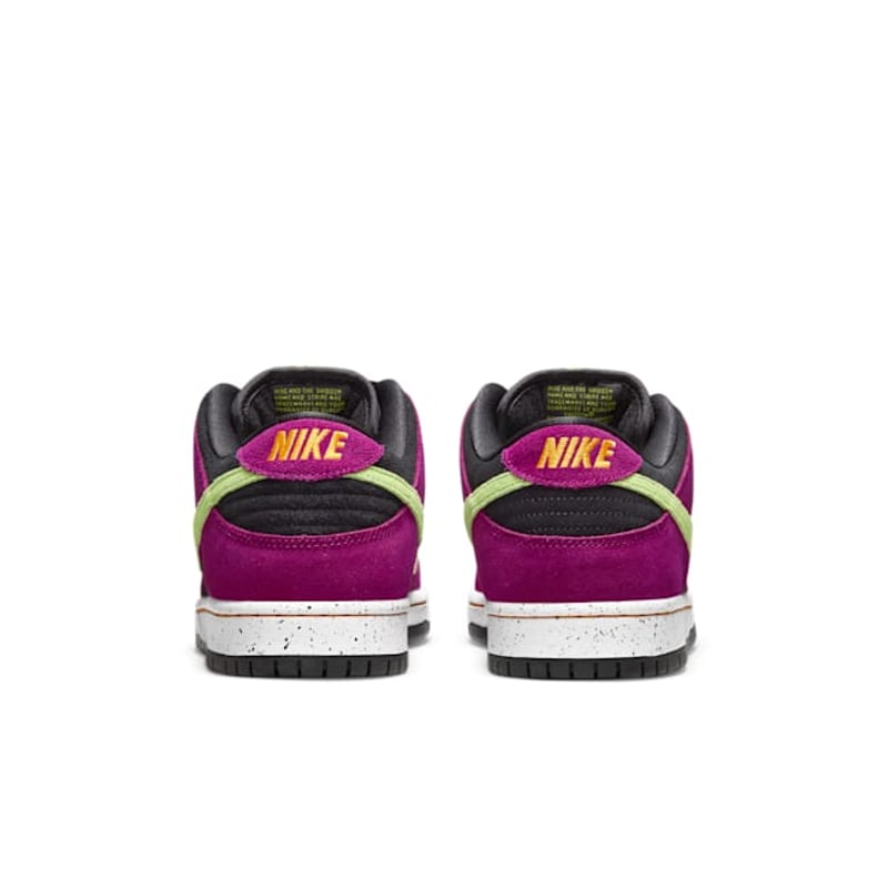 Nike SB Dunk Low Pro ACG BQ6817-501 06