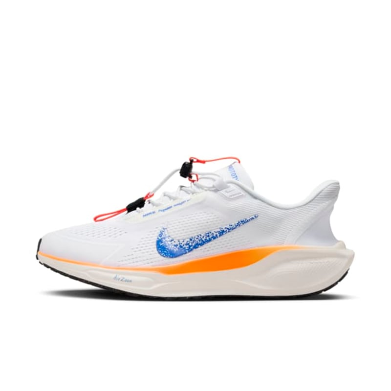 Nike Pegasus EasyOn HM0374-900 02