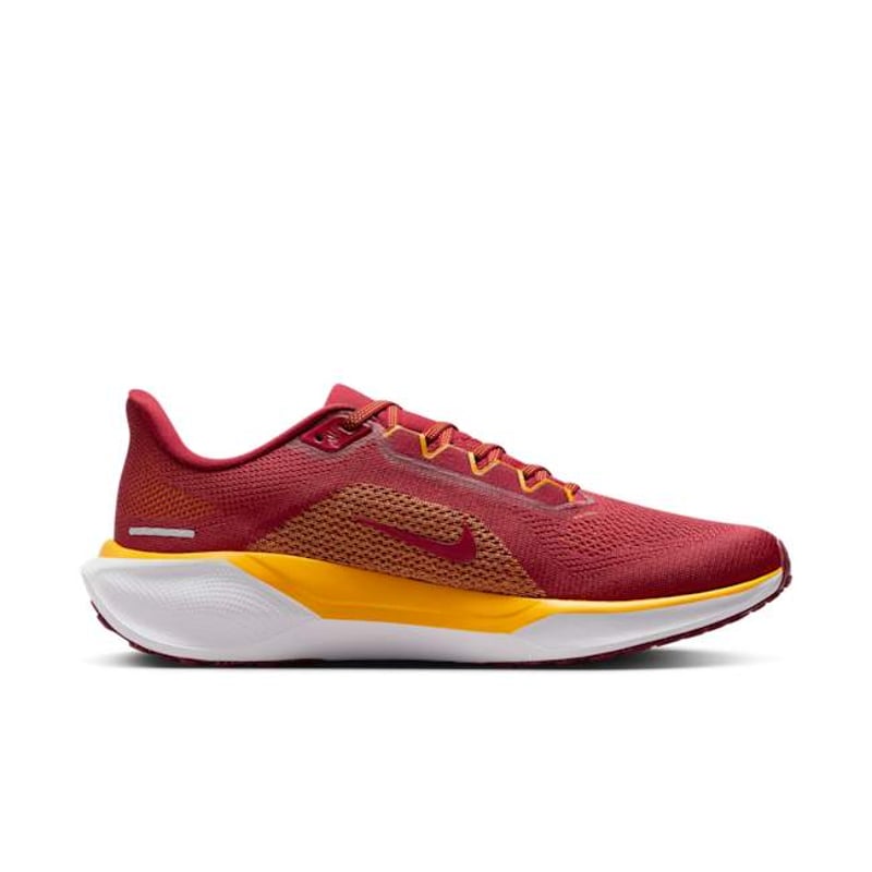 Nike Pegasus 41 FZ5150-600 03
