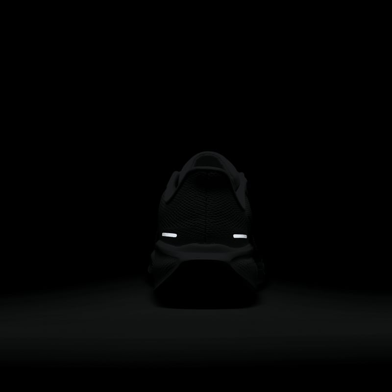 Nike Pegasus 41 FD2723-006 10